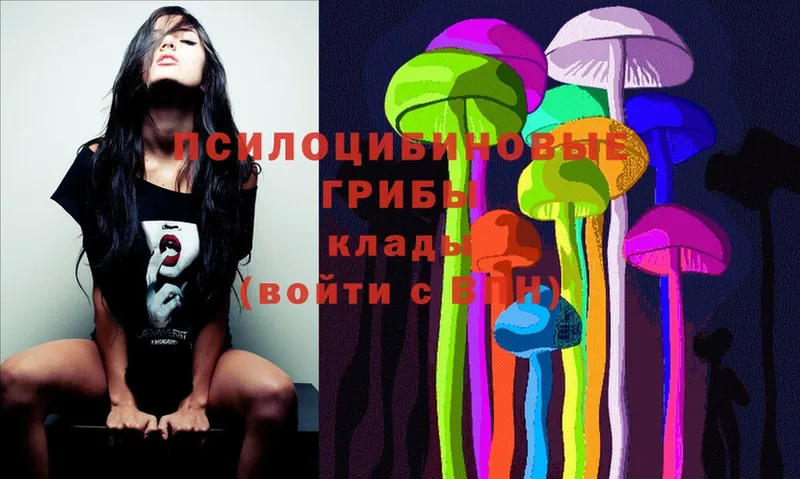 купить   Белогорск  Галлюциногенные грибы MAGIC MUSHROOMS 